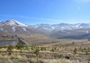 Teke Deresi Erzurum turizmine kazandırılıyor